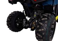 купить Квадроцикл AVANTIS Ray 200 Lux в Москве - фото 