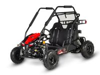 купить Багги SHARMAX Тигр 250 в Москве - фото 