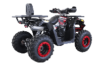 купить Квадроцикл HUNTER 250 в Москве - фото 