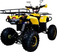 купить Квадроцикл AVANTIS Patriot M в Москве - фото 