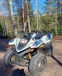 купить Квадроцикл BALTMOTORS Jam 100 (2022) Б/У в Москве - фото 