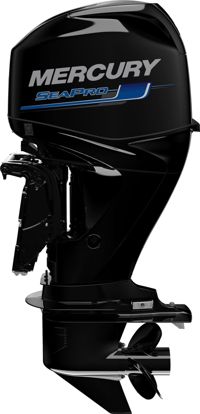 купить 4х-тактный лодочный мотор MERCURY F 40 ELPT SeaPro CT в Москве - фото 