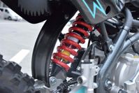 купить Мотоцикл REGULMOTO Seven Medalist Pro 17/14 PITBIKE в Москве - фото 