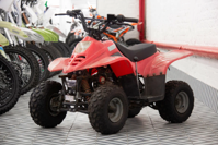 купить Квадроцикл IRBIS Dingo 50s в Москве - фото 