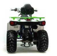 купить Квадроцикл MOTOLAND 200 Shark (2021 Г.) в Москве - фото 