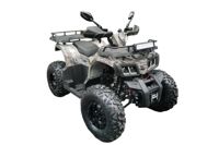 купить Квадроцикл MOTAX ATV Grizlik T200 Lux в Москве - фото 
