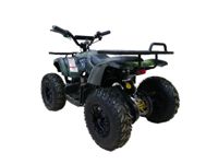 купить Электроквадроцикл MOTAX Grizlik X16 New E1000 Big Wheel в Москве - фото 