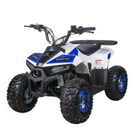 купить Квадроцикл YACOTA Raposa в Москве - фото 