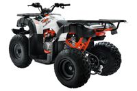 купить Квадроцикл KAYO AU150 CVT в Москве - фото 