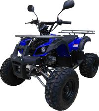 купить Квадроцикл MOTAX ATV Grizlik-8 125 в Москве - фото 