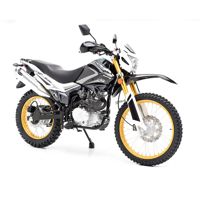 купить Мотоцикл кроссовый эндуро REGULMOTO SK 250GY-5 в Москве - фото 