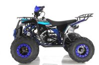 купить Квадроцикл WELS Thunder EVO в Москве - фото 