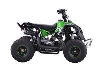 купить Квадроцикл YACOTA Renegade Mini в Москве - фото 