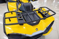 купить Квадроцикл HISUN Guardian 400L Long в Москве - фото 