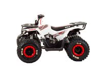 купить Квадроцикл MOTOLAND 125 Wild в Москве - фото 