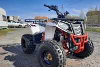 купить Квадроцикл RAPTOR R8 в Москве - фото 