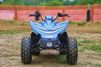 купить Квадроцикл SHARMAX Cross 180 RX в Москве - фото 