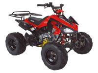 купить Квадроцикл ABM Scorpion 125A в Москве - фото 