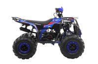 купить Квадроцикл MOTAX Grizlik A125 в Москве - фото 