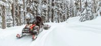 купить Снегоход BRP Ski-Doo Skandic SWT 900 ACE (2024) в Москве - фото 