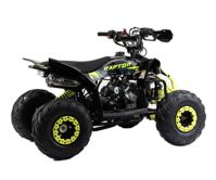 купить Квадроцикл MOTOLAND Raptor 110 в Москве - фото 