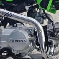купить Мотоцикл MOTOLAND GS Motors S12 17/14 E PITBIKE в Москве - фото 