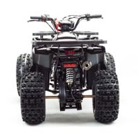 купить Квадроцикл MOTOLAND Wild 150 в Москве - фото 