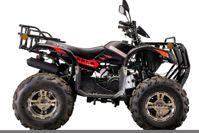 купить Квадроцикл YACOTA Sela Lux 150 LD в Москве - фото 