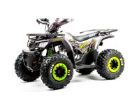 купить Квадроцикл MOTOLAND Wild Basic 125 в Москве - фото 