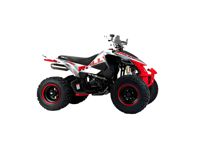 купить Квадроцикл MOTOLAND RALLY 250 в Москве - фото 