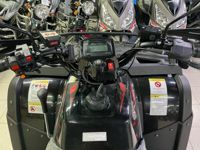 купить Квадроцикл RATO Rush 250 в Москве - фото 