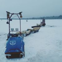 купить Мотобуксировщик MOTODOG 500 (9 л.с. задний привод) в Москве - фото 