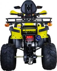 купить Квадроцикл AVANTIS Hunter 8M Lux 125 2017 в Москве - фото 