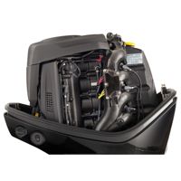 купить 4х-тактный лодочный мотор MERCURY F80ELPT EFI в Москве - фото 