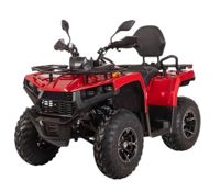 купить Квадроцикл Bizon YK250 Basic Carb в Москве - фото 