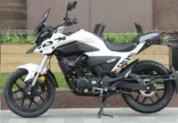 купить Мотоцикл LIFAN KPT200 (LF200-10D) ТУРЭНДУРО в Москве - фото 