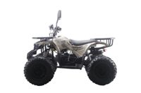 купить Квадроцикл MOTAX ATV Grizlik Premium 125cc в Москве - фото 