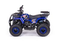 купить Квадроцикл MOTAX Grizlik X16 (ES, BW) в Москве - фото 