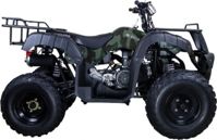 купить Квадроцикл AVANTIS Hunter 150 Lite в Москве - фото 