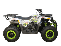 купить Квадроцикл AVANTIS H200 NEW (Баланс. вал) в Москве - фото 