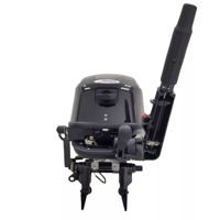 купить 4х-тактный лодочный мотор PARSUN F9.9ABMS-EFI в Москве - фото 