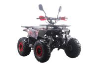 купить Квадроцикл MOTAX ATV Grizlik Premium 125cc в Москве - фото 