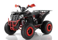 купить Квадроцикл RAPTOR Lux All 16 л.с. в Москве - фото 