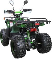 купить Квадроцикл AVANTIS Hunter 8M+ 125 2018 в Москве - фото 