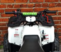 купить Квадроцикл MOWGLI Hardy 8+ в Москве - фото 