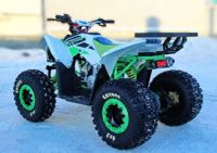 купить Квадроцикл MOTOLAND 125 Coyote (2021 Г.) в Москве - фото 