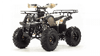 купить Квадроцикл MOTOLAND 125 Fox в Москве - фото 