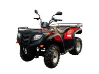 купить Квадроцикл LONCIN 250 в Москве - фото 