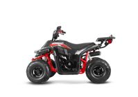 купить Квадроцикл SHARMAX 130 Cross в Москве - фото 