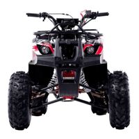 купить Квадроцикл WELS Thunder 125 Basic в Москве - фото 